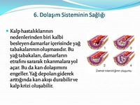 Dolaşım Sistemi Sağlığı