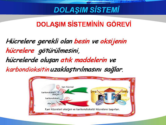 Dolam Sisteminin Grevleri